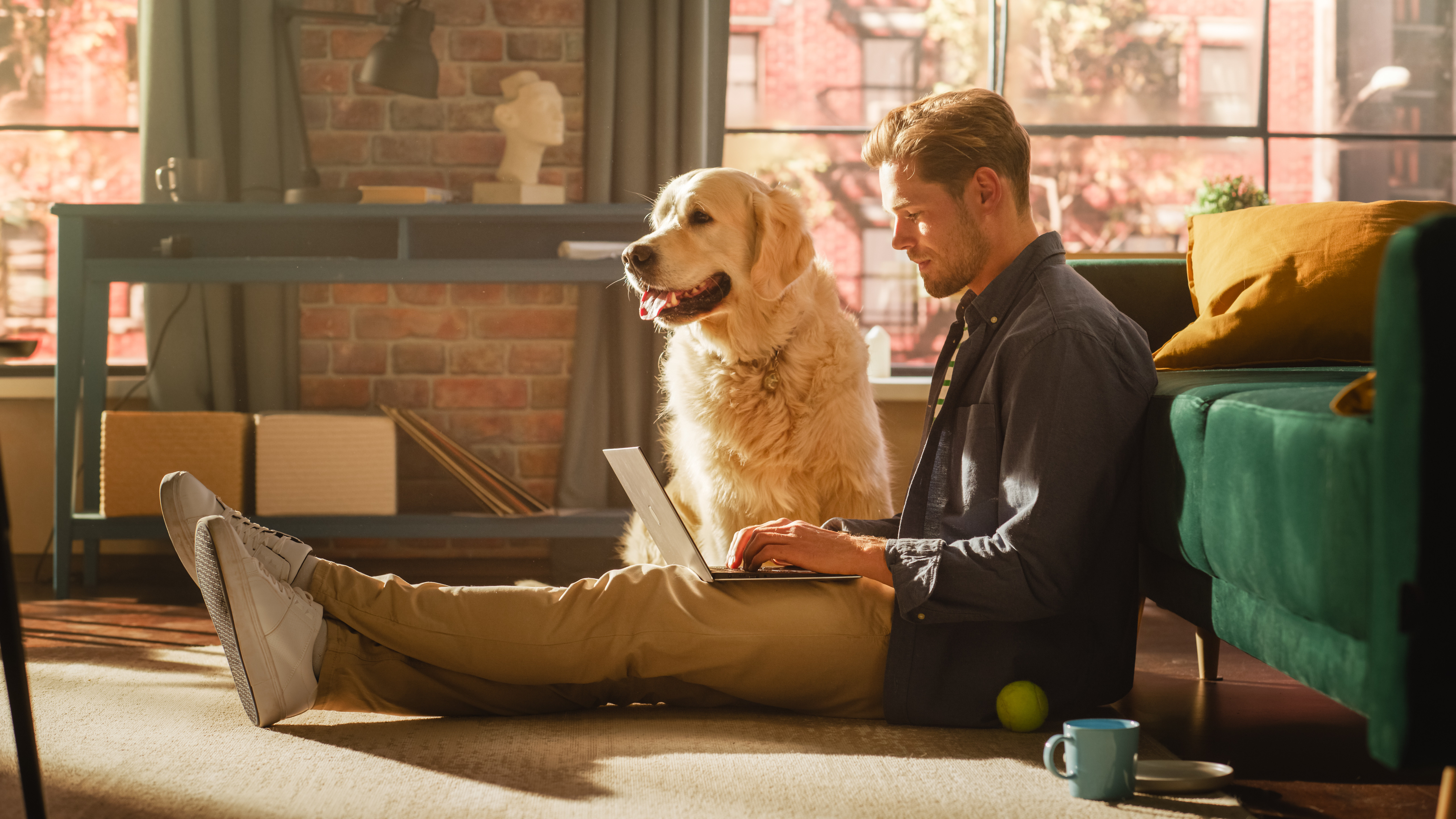 AdobeStock_550023175